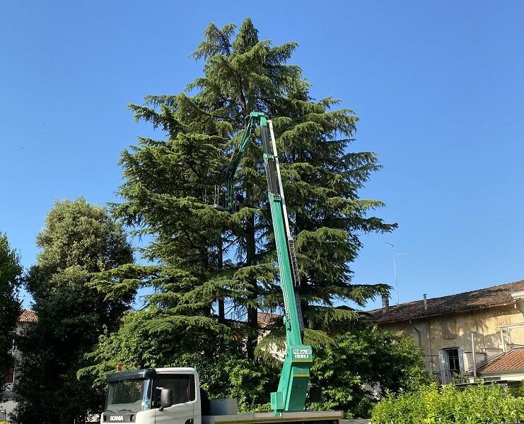 Potatura di un cedro con autocarro e piattaforma aerea