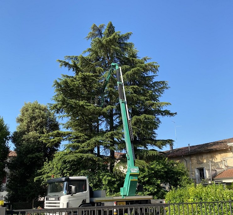 Potatura di un cedro con autocarro e piattaforma aerea