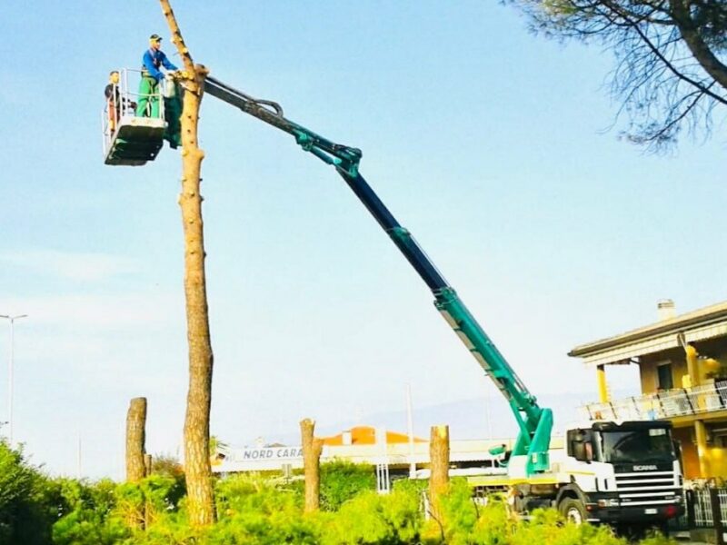 Operatore su piattaforma aerea durante l'abbattimento controllato di un pino